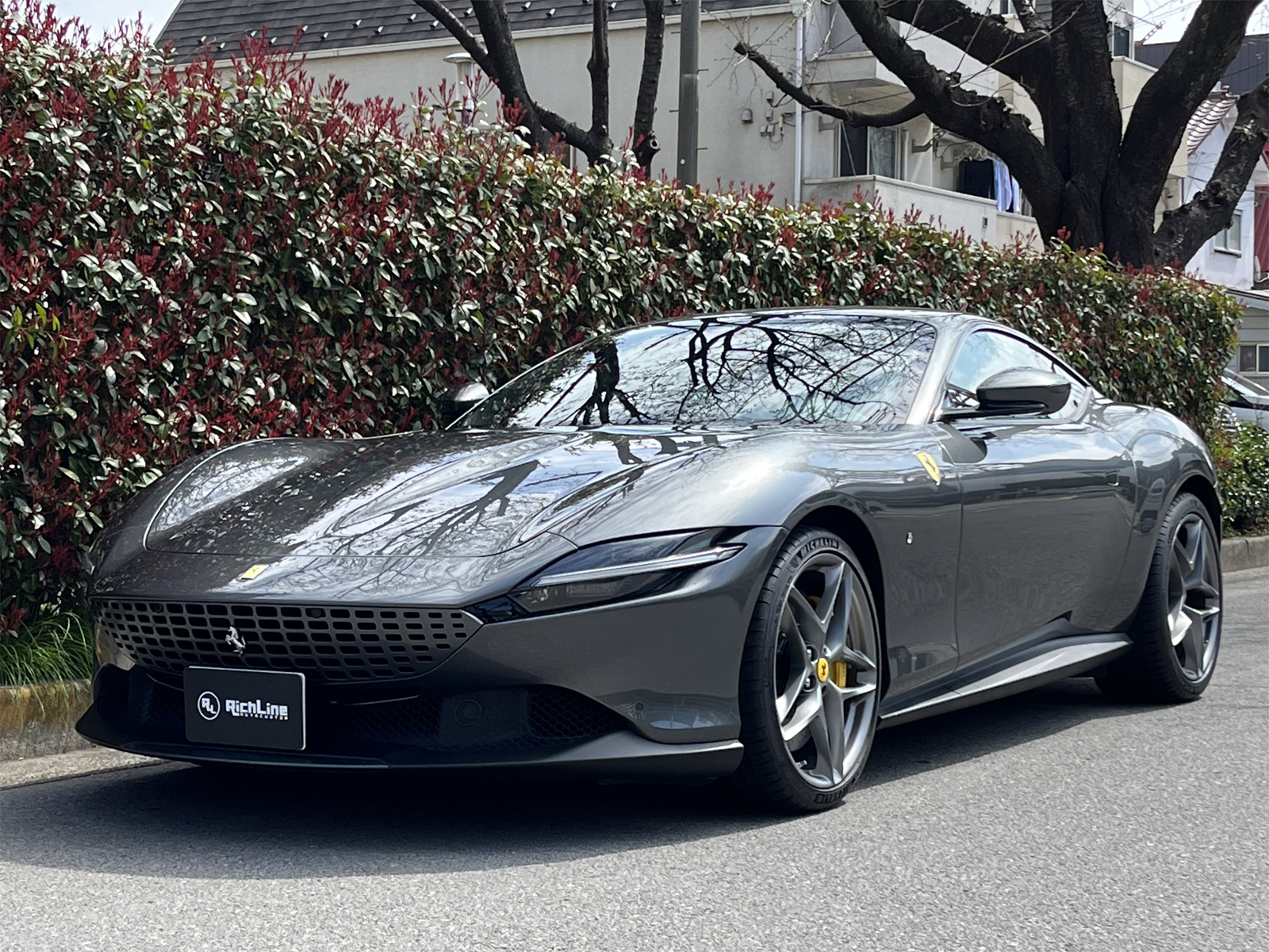 Roma F1 DCTリッチライン