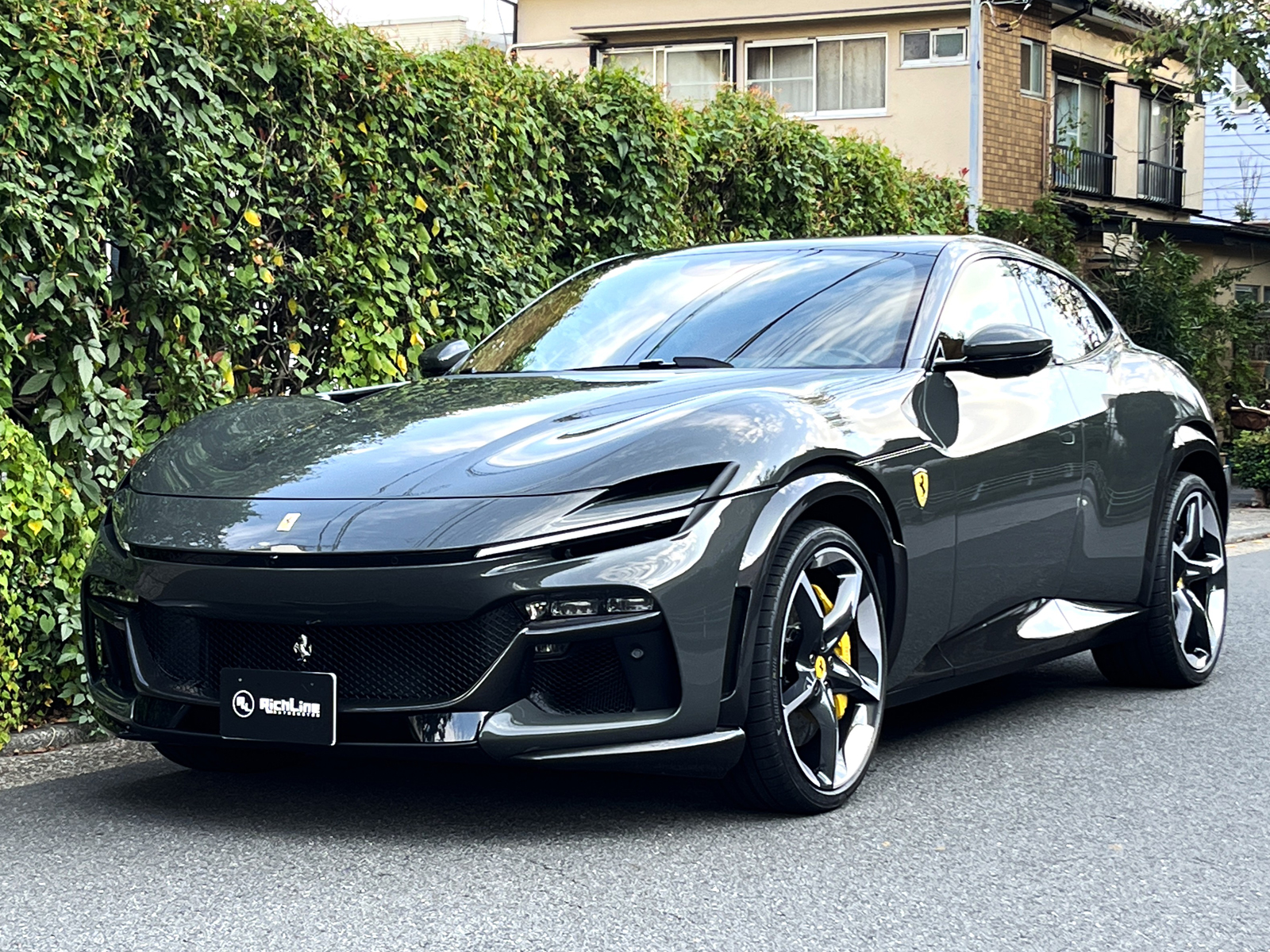 Purosangueリッチライン