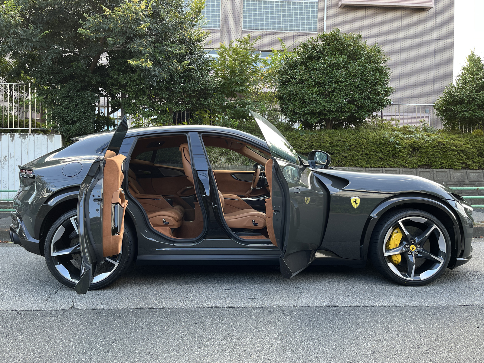 Purosangueリッチライン