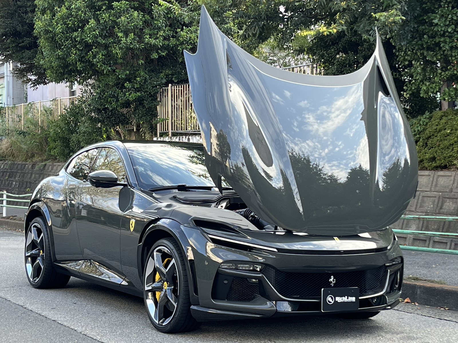 Purosangueリッチライン