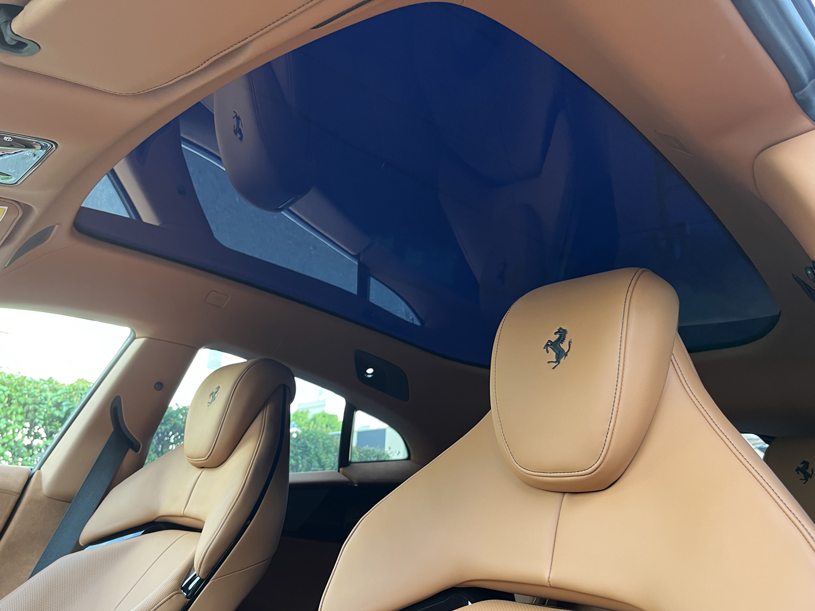 Purosangueリッチライン