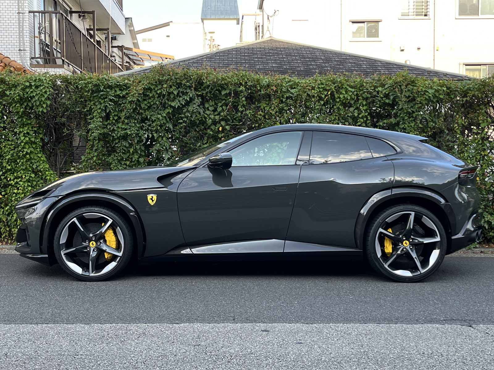 Purosangueリッチライン