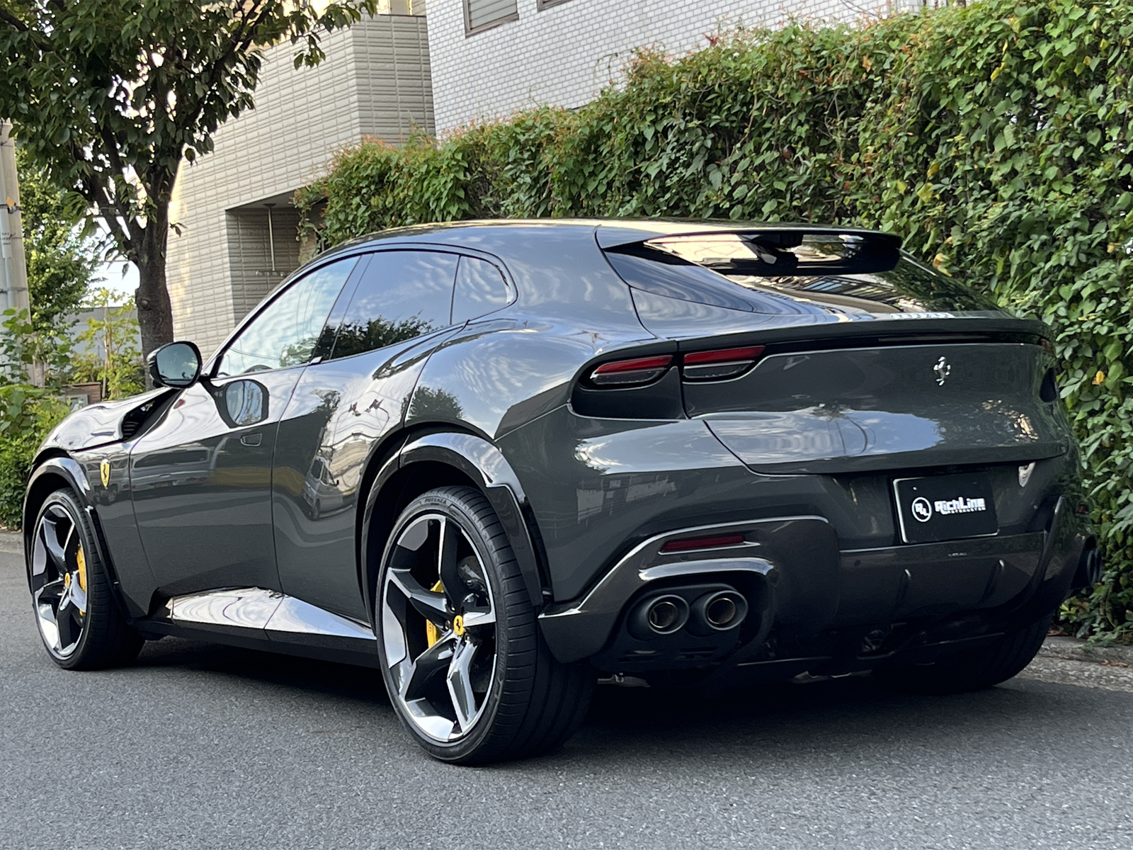 Purosangueリッチライン