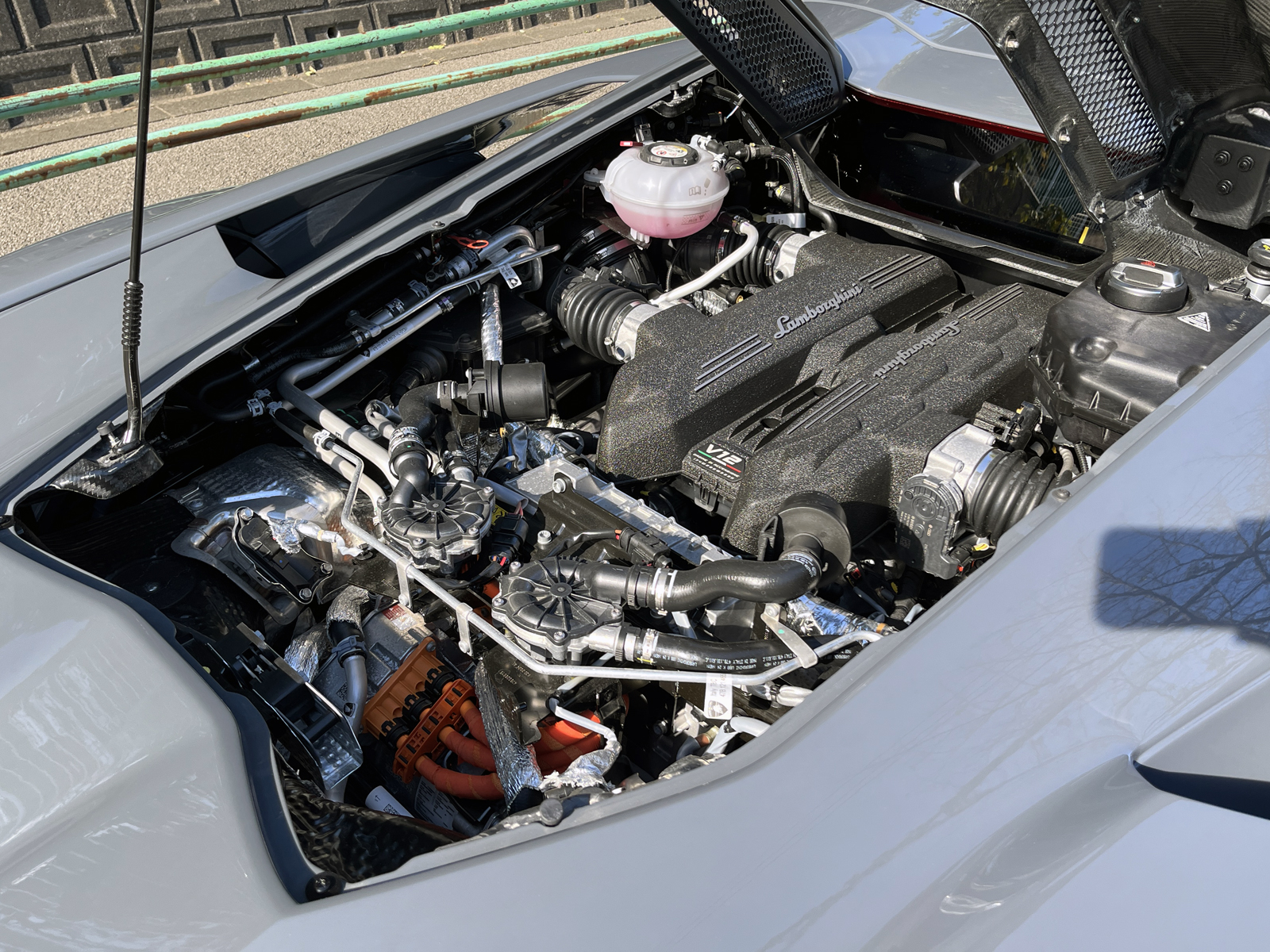 Revueltoリッチライン