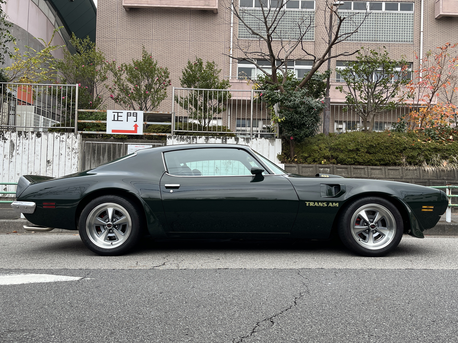 Trans Amリッチライン