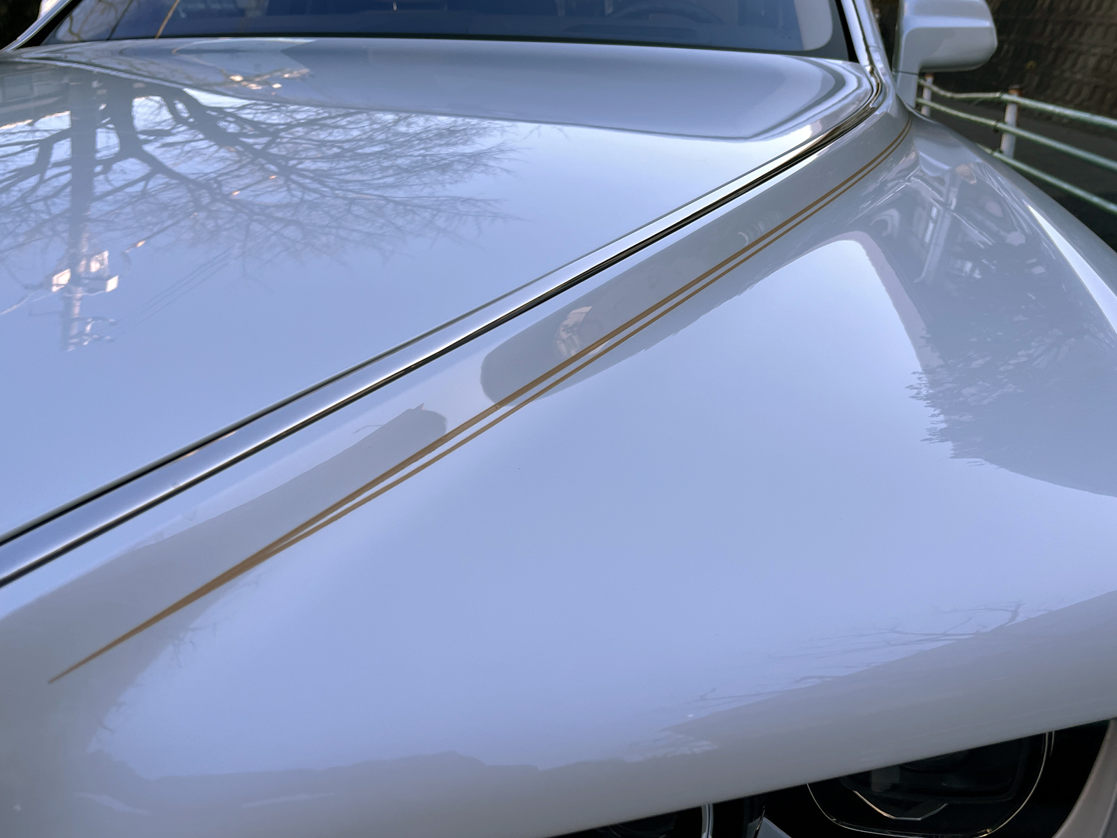 Phantom 6.75リッチライン