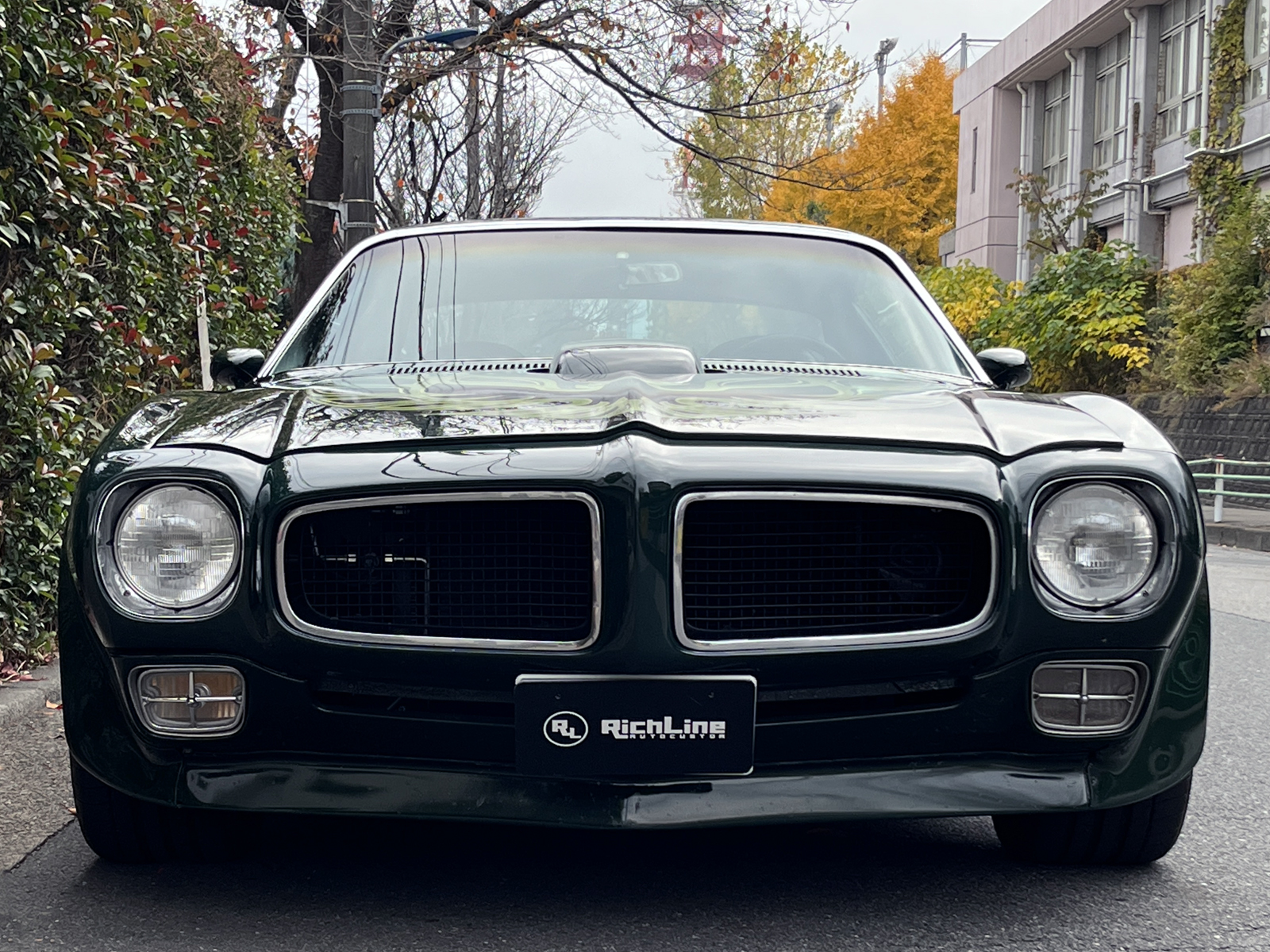 Trans Amリッチライン