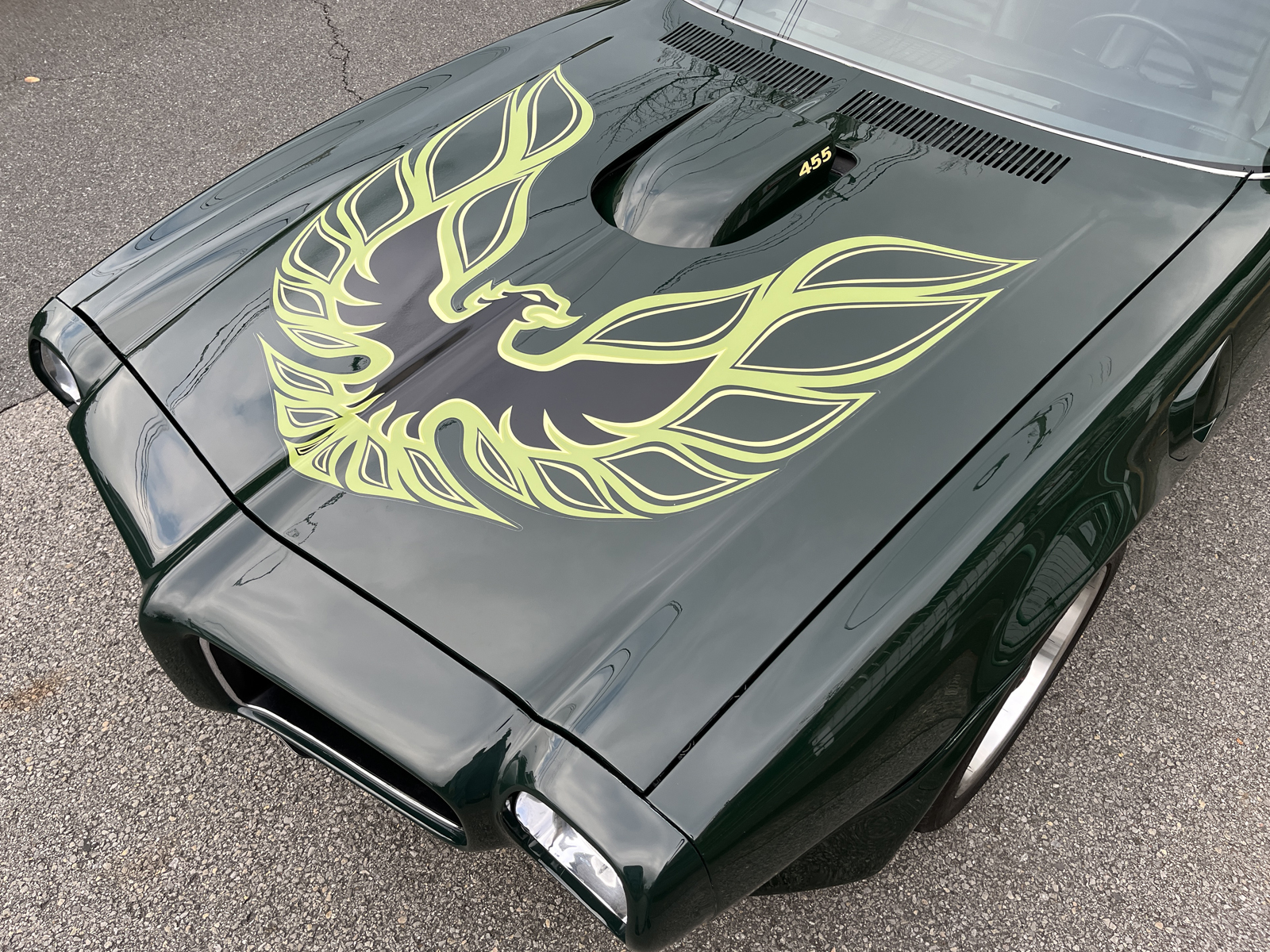 Trans Amリッチライン