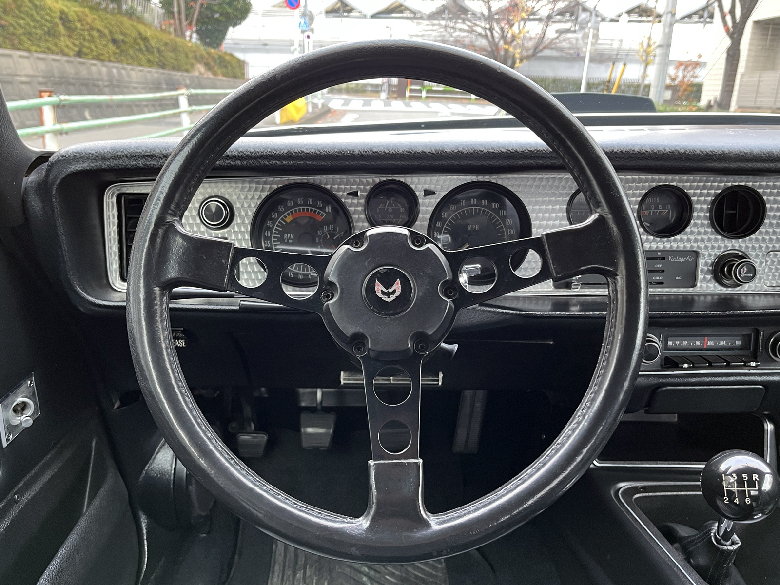 Trans Amリッチライン