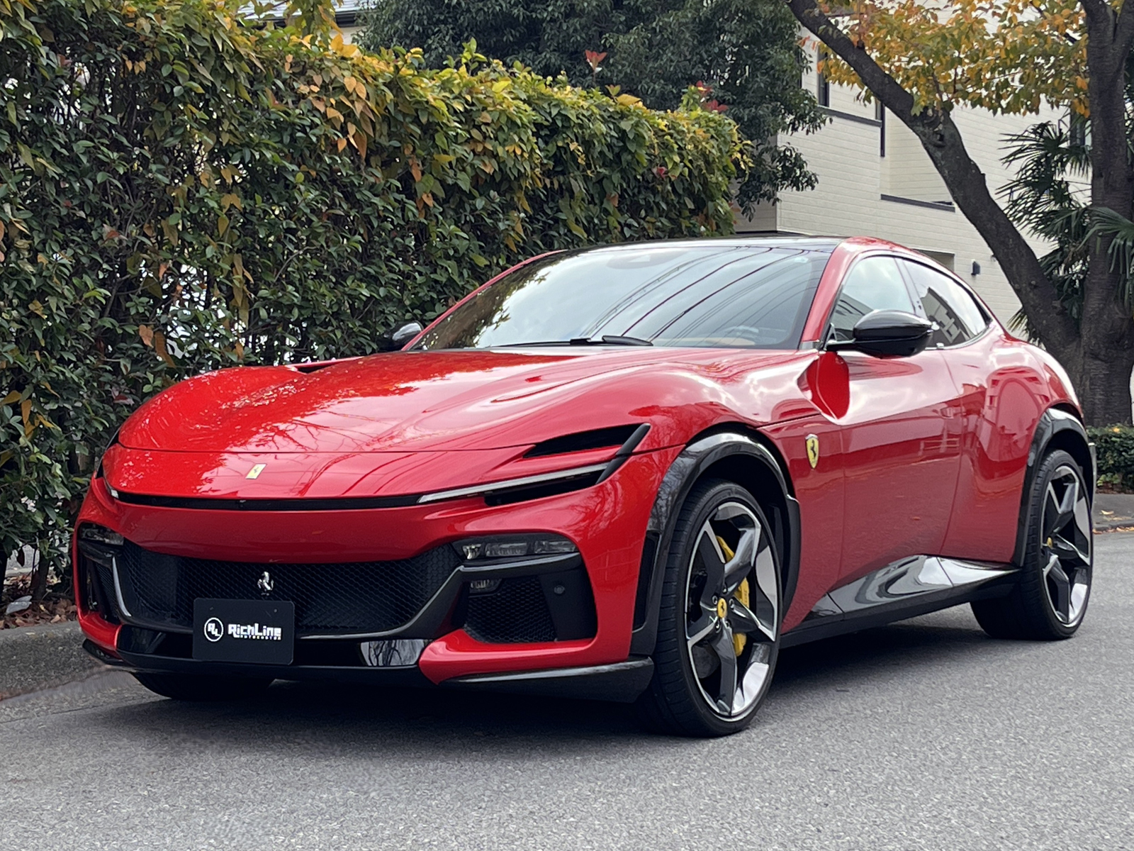 Purosangueリッチライン