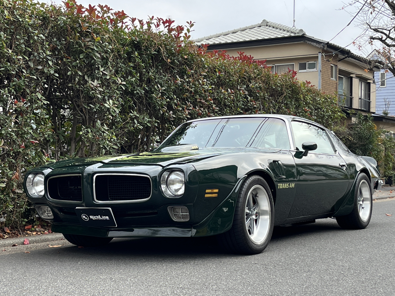 Trans Amリッチライン