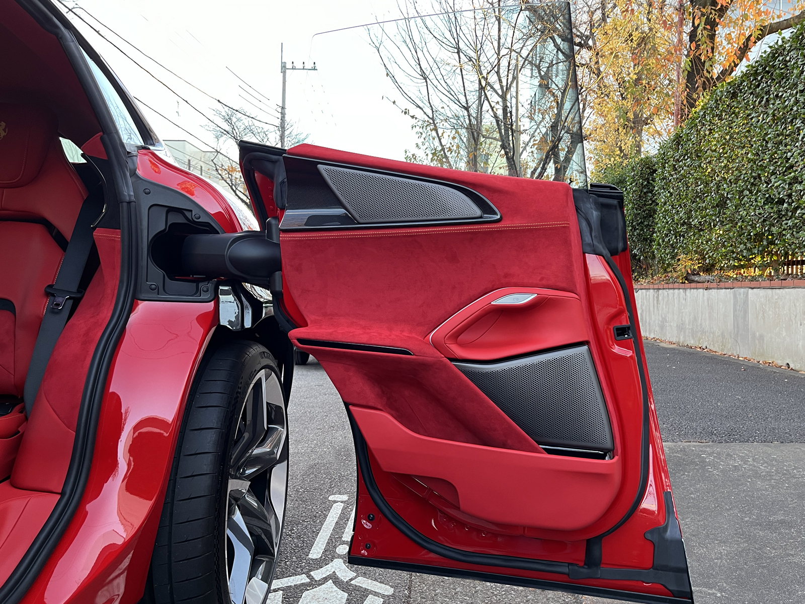 Purosangueリッチライン