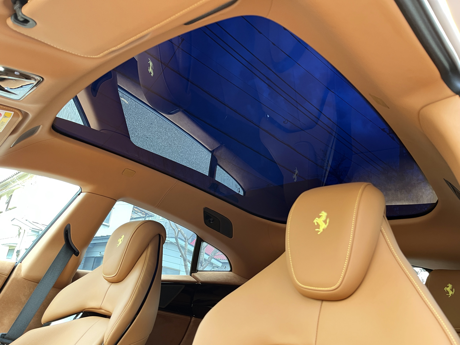 Purosangueリッチライン