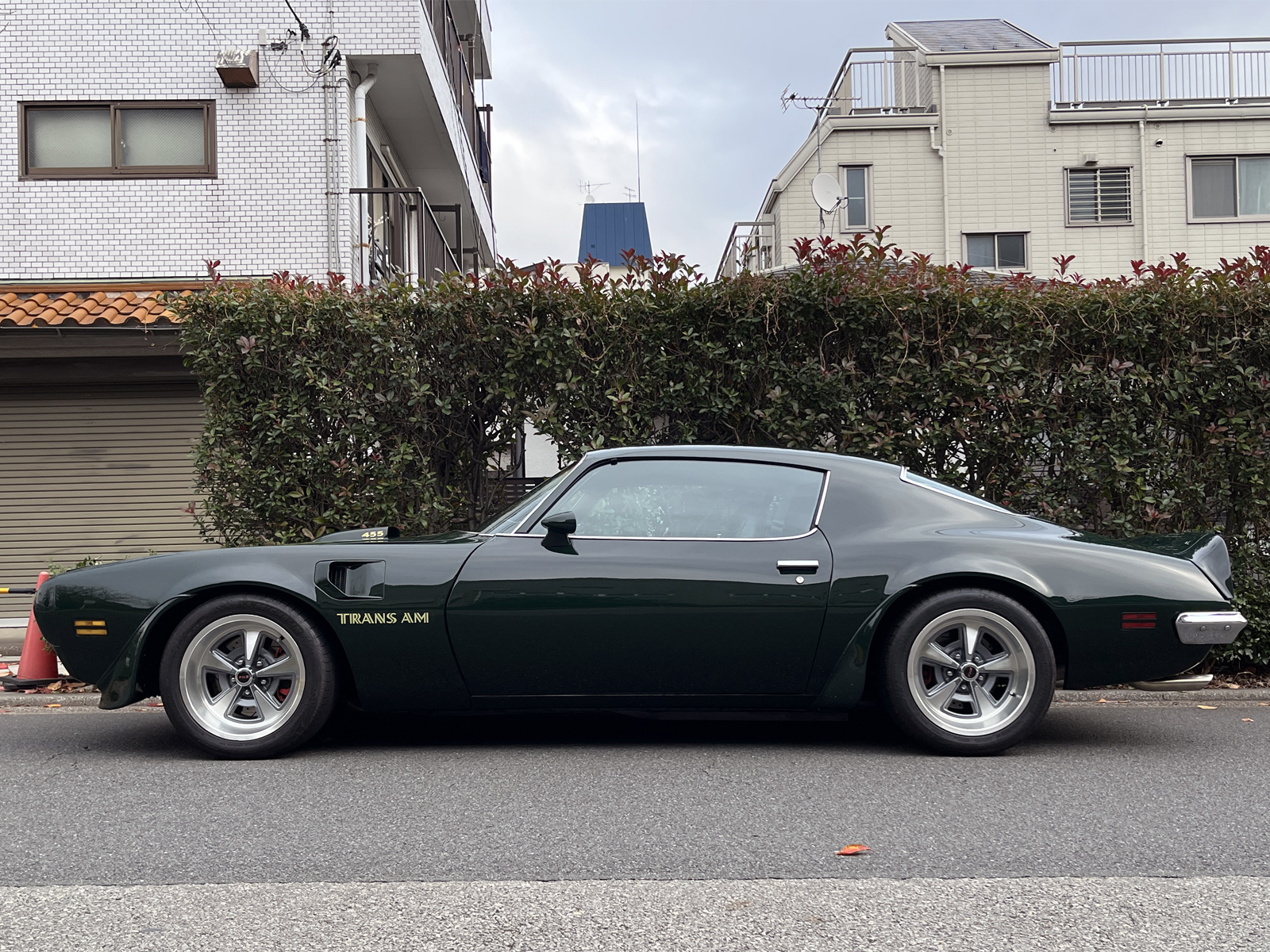 Trans Amリッチライン