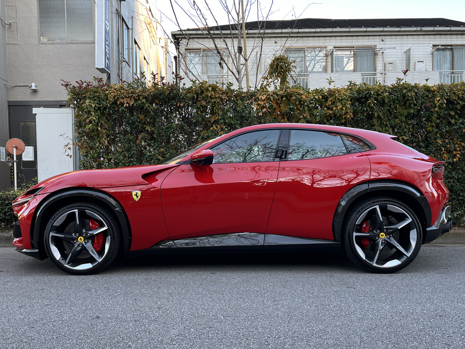 Purosangueリッチライン