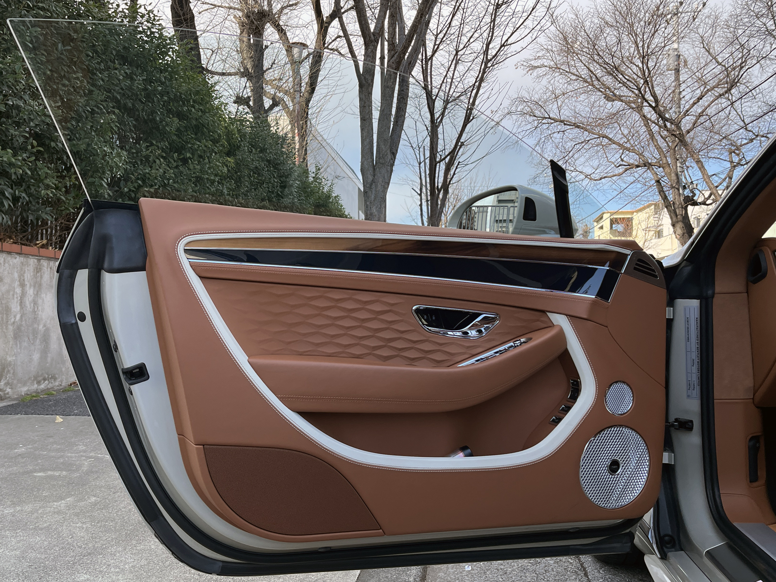 Continental GT SPEEDリッチライン