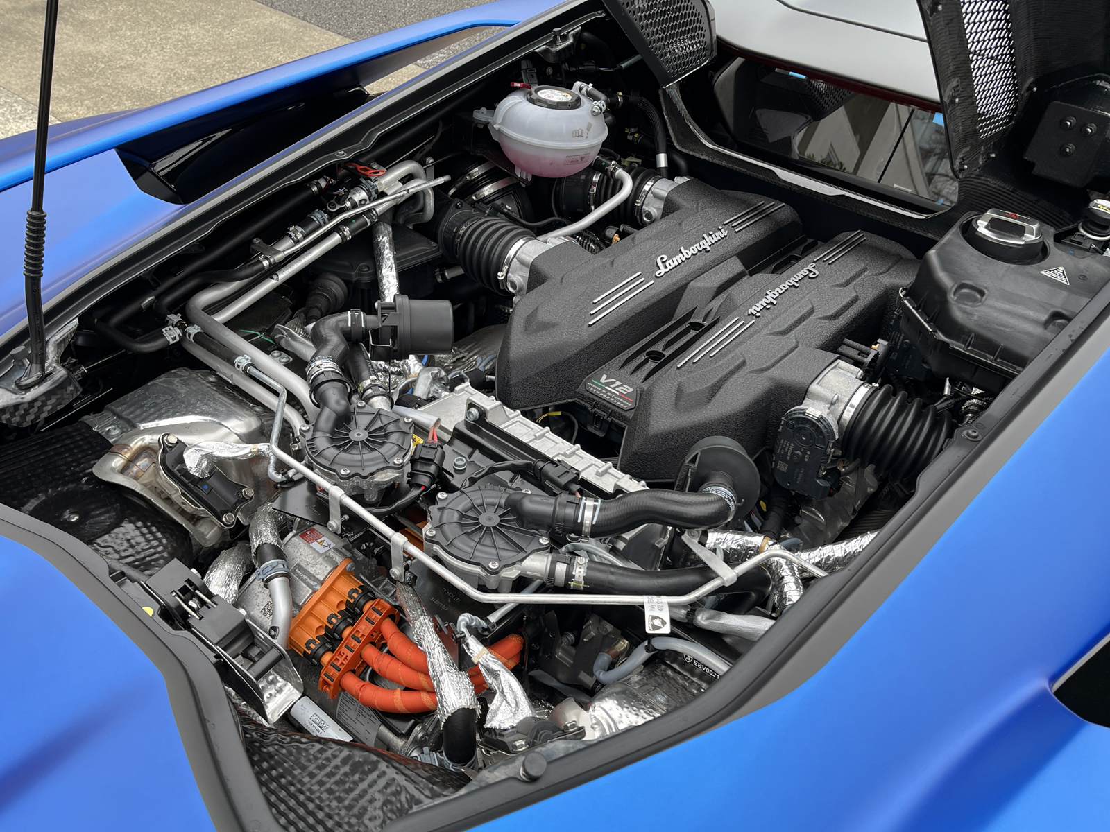 Revueltoリッチライン