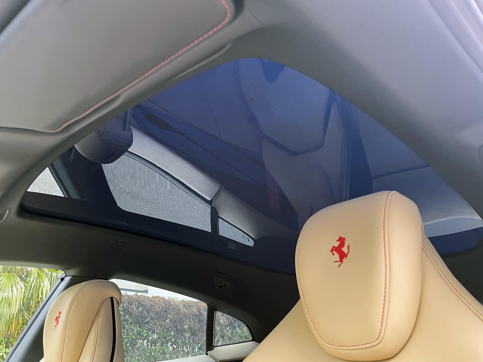 Purosangueリッチライン