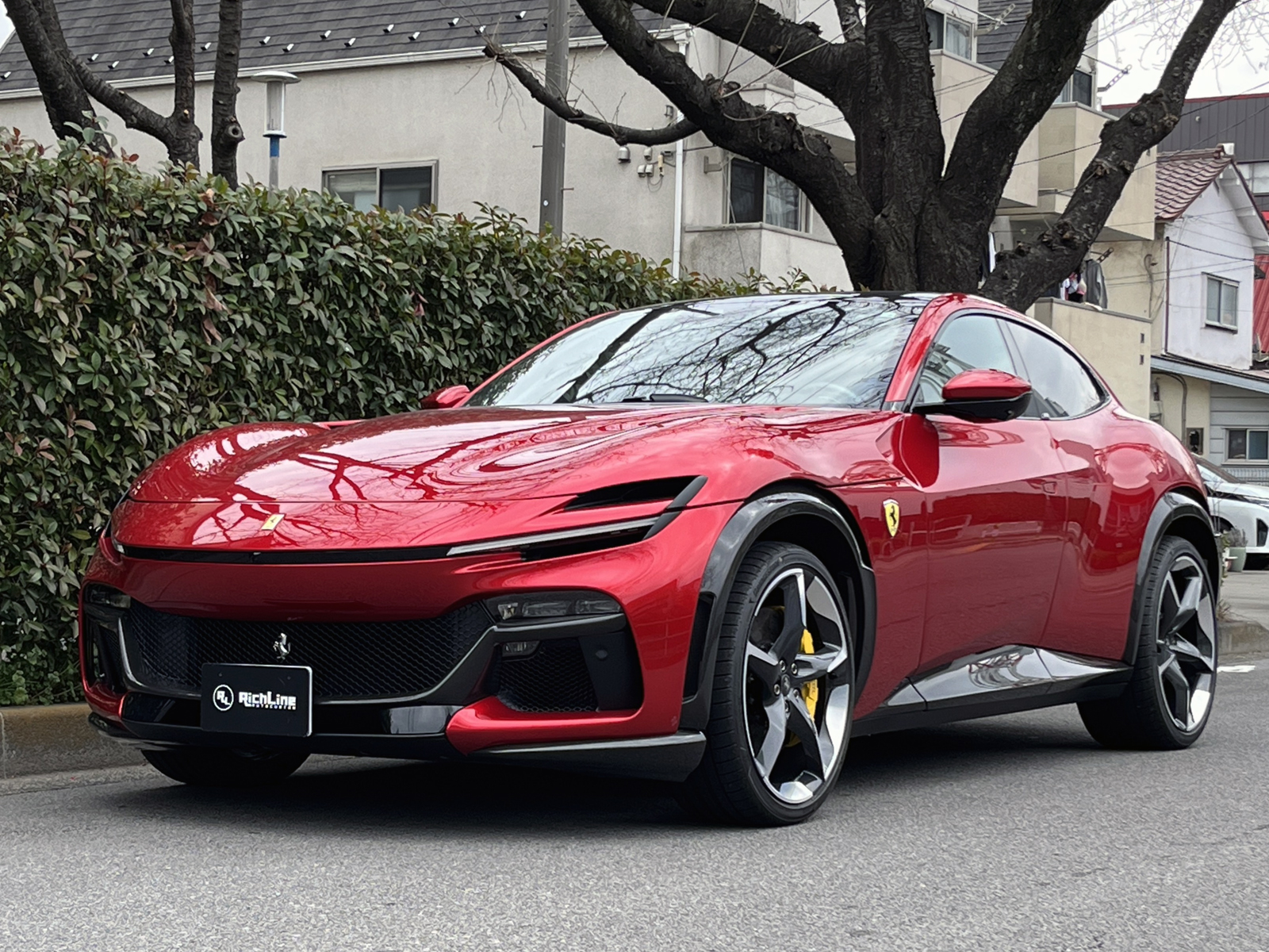 Purosangueリッチライン