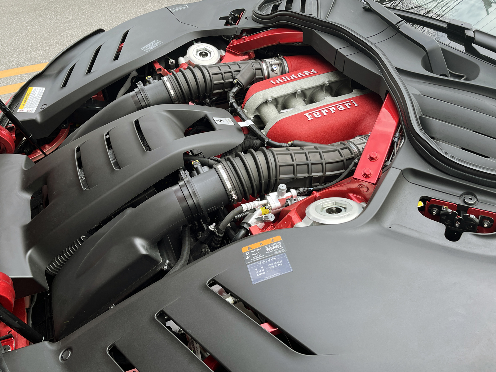 Purosangueリッチライン