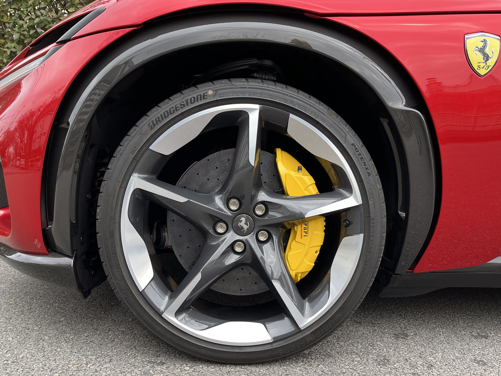 Purosangueリッチライン