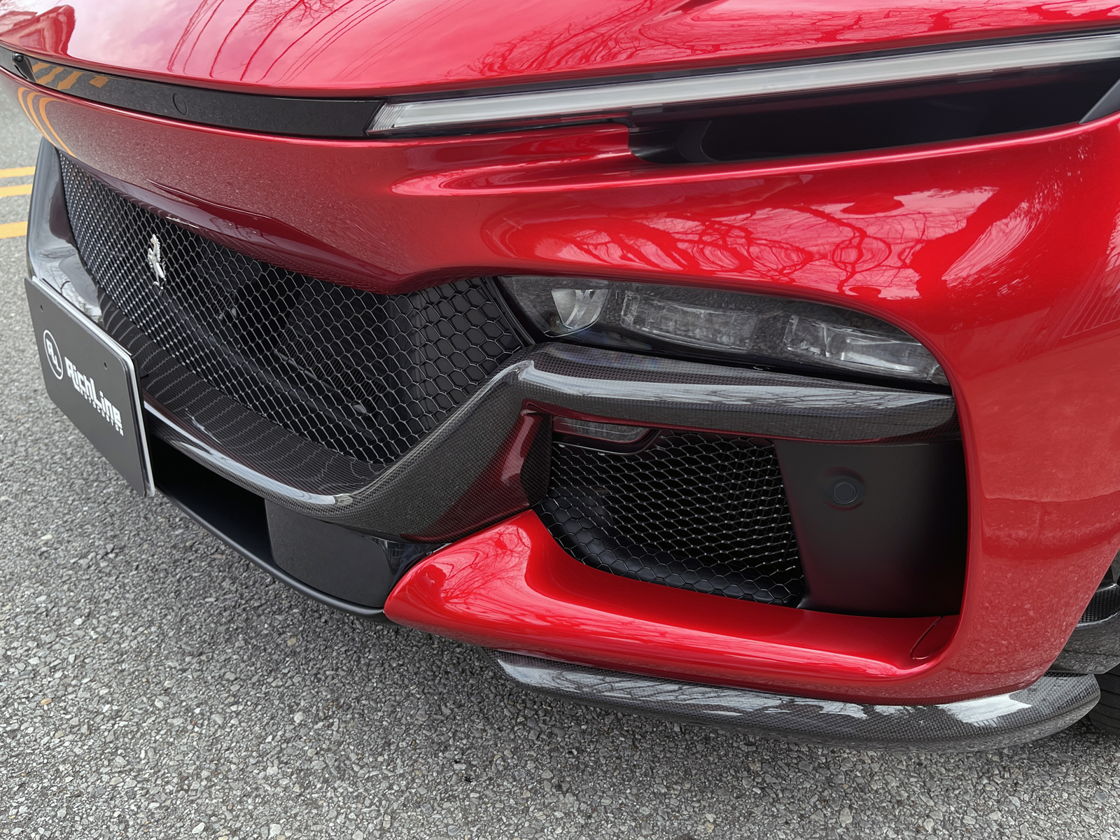 Purosangueリッチライン