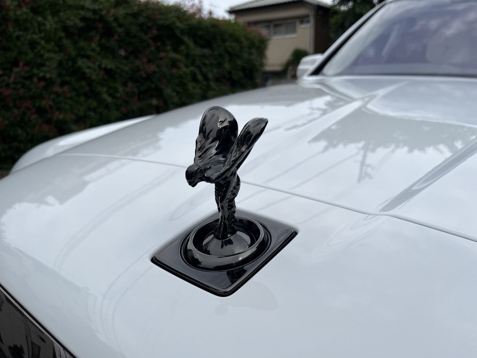 Black Badge Cullinanリッチライン