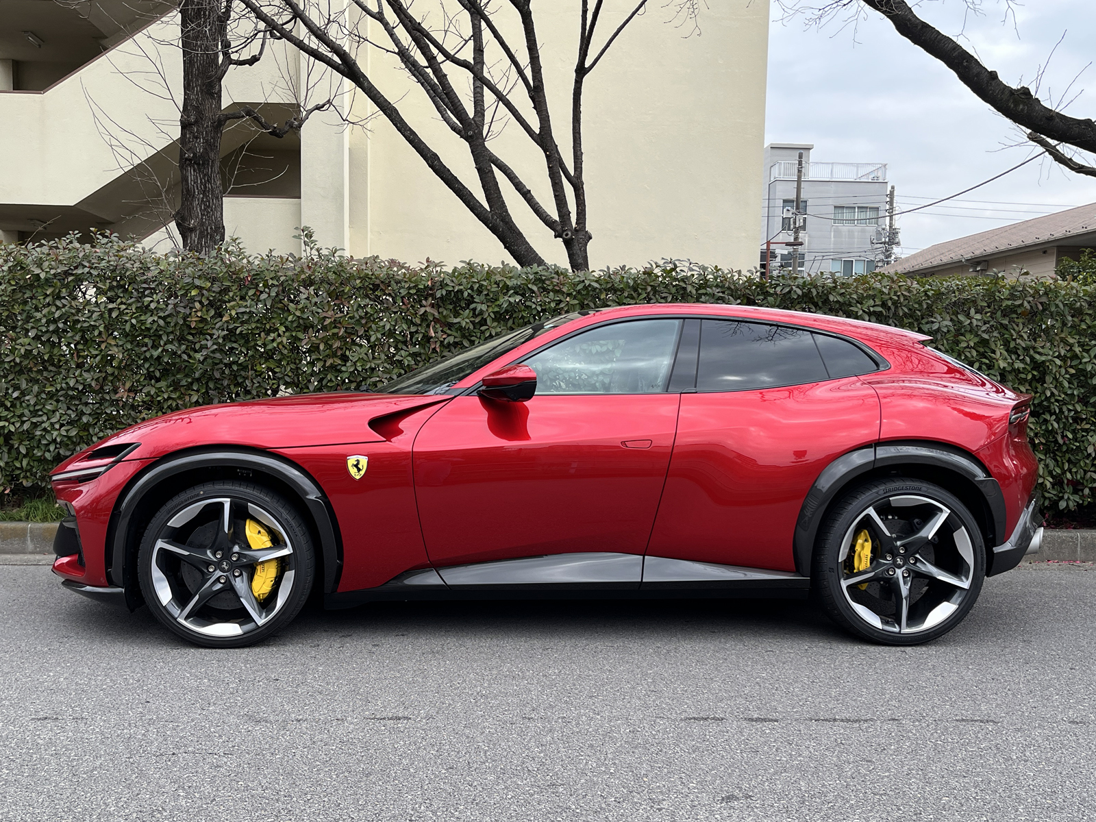 Purosangueリッチライン