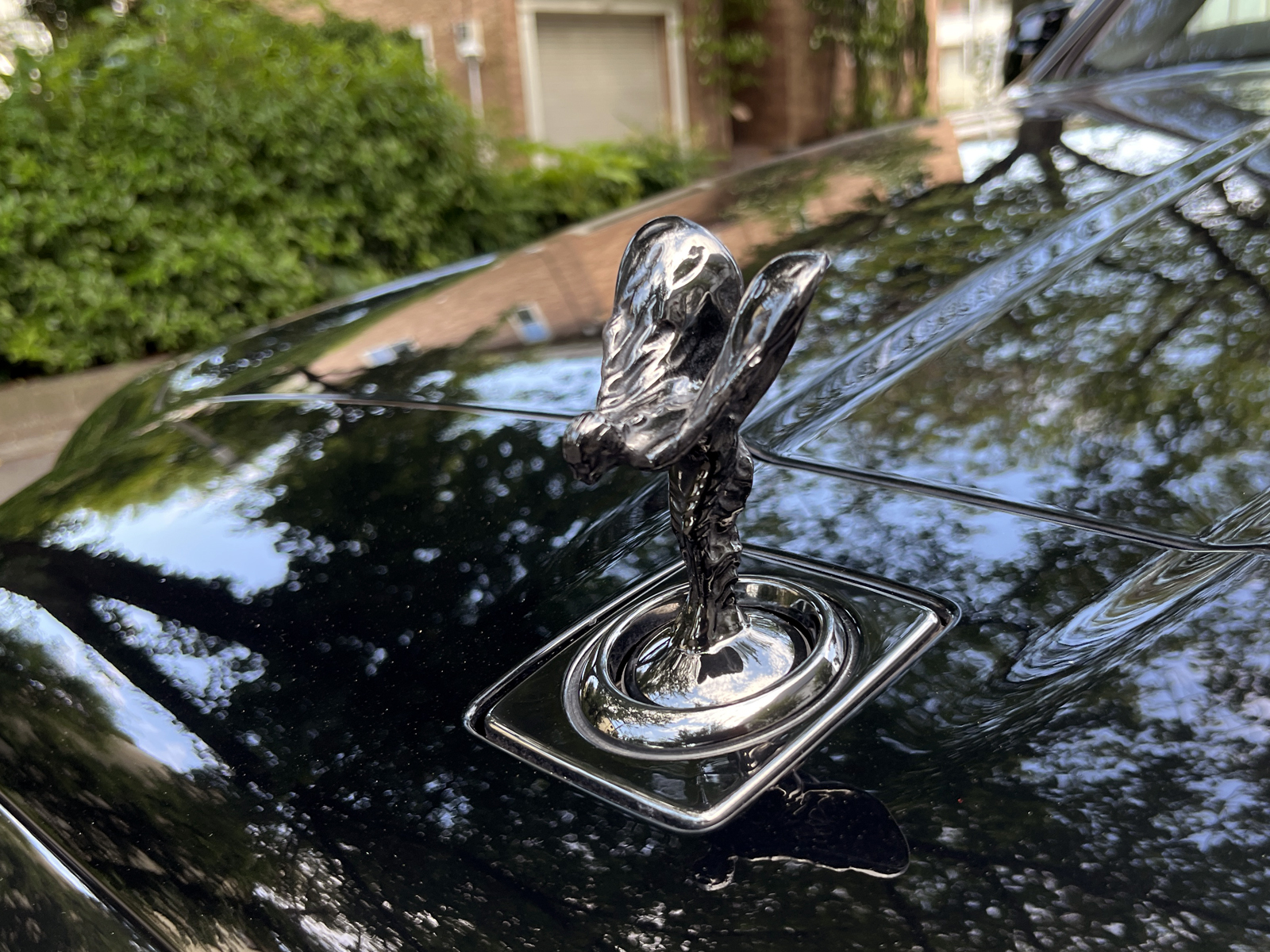 Black Badge Cullinanリッチライン