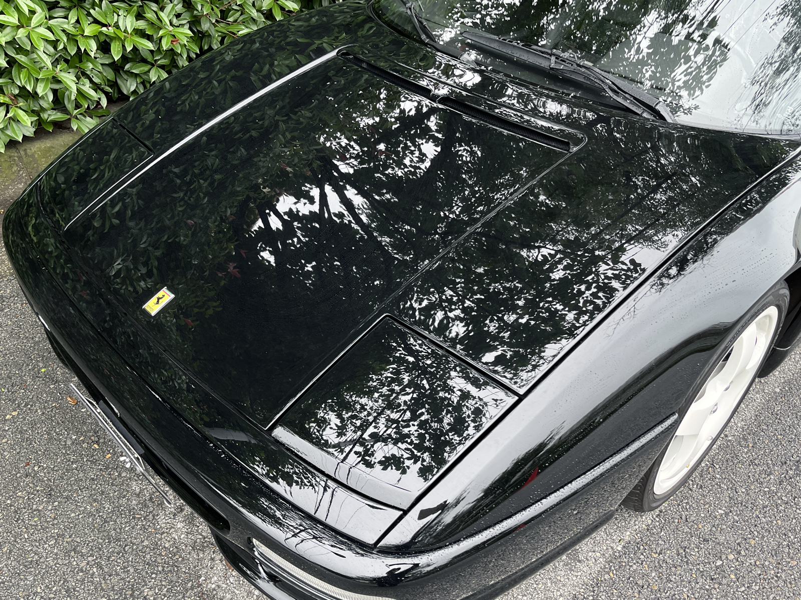 F355 BERLINETTAリッチライン