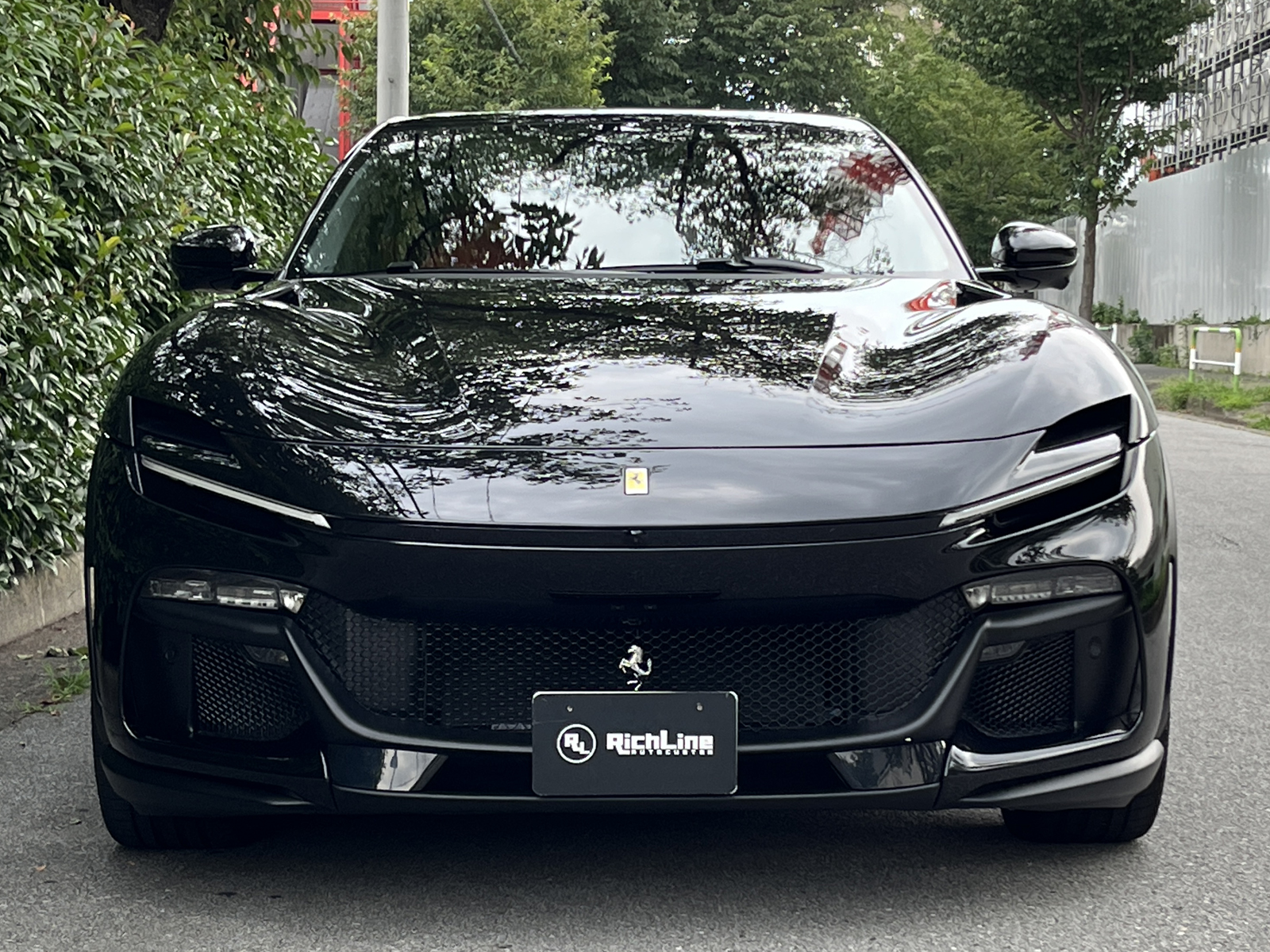 Purosangueリッチライン