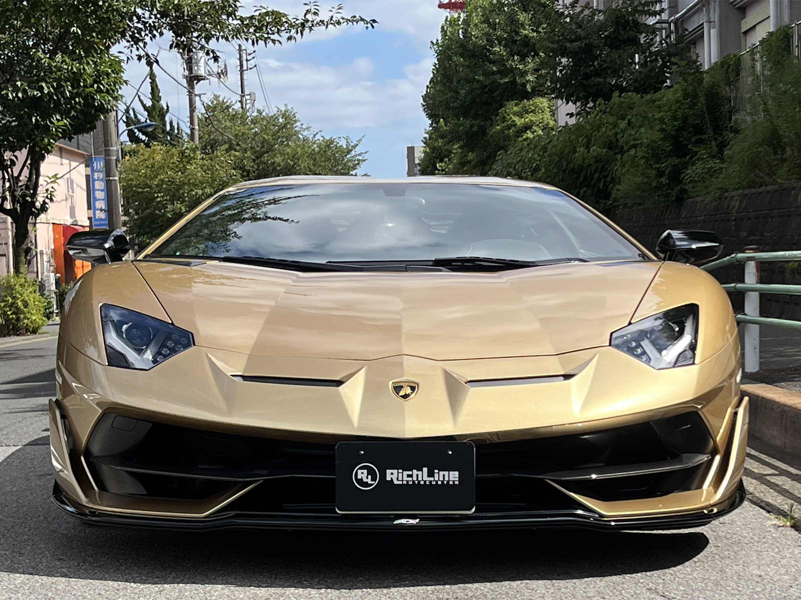Aventador SVJリッチライン