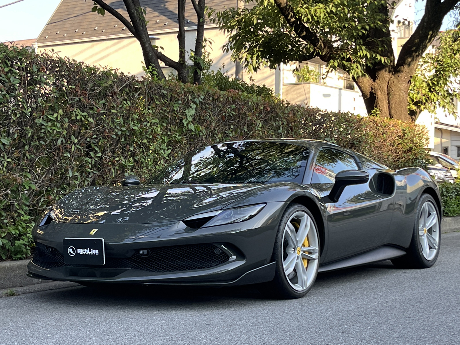 296 GTS Assetto Fioranoリッチライン