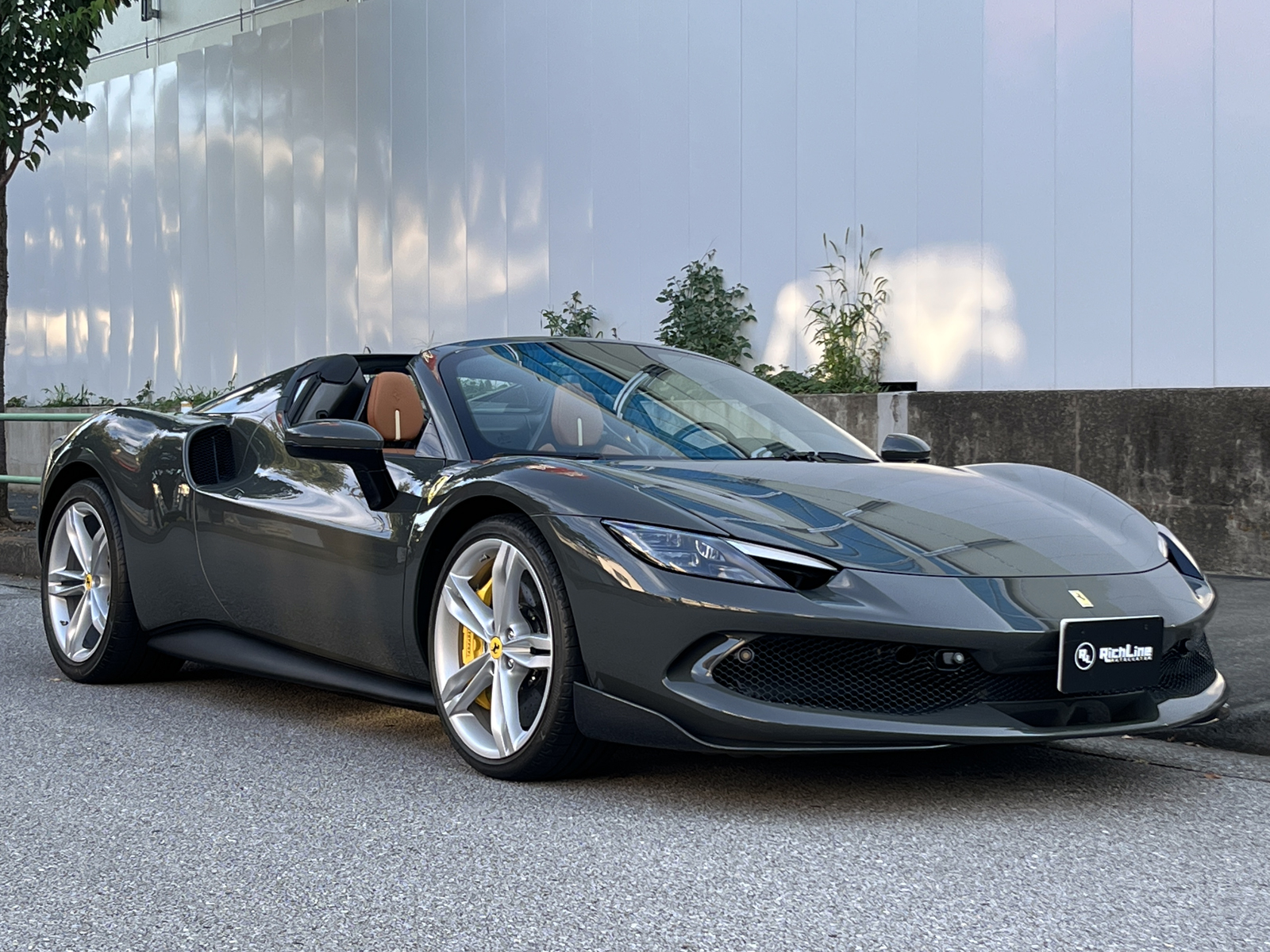 296 GTS Assetto Fioranoリッチライン