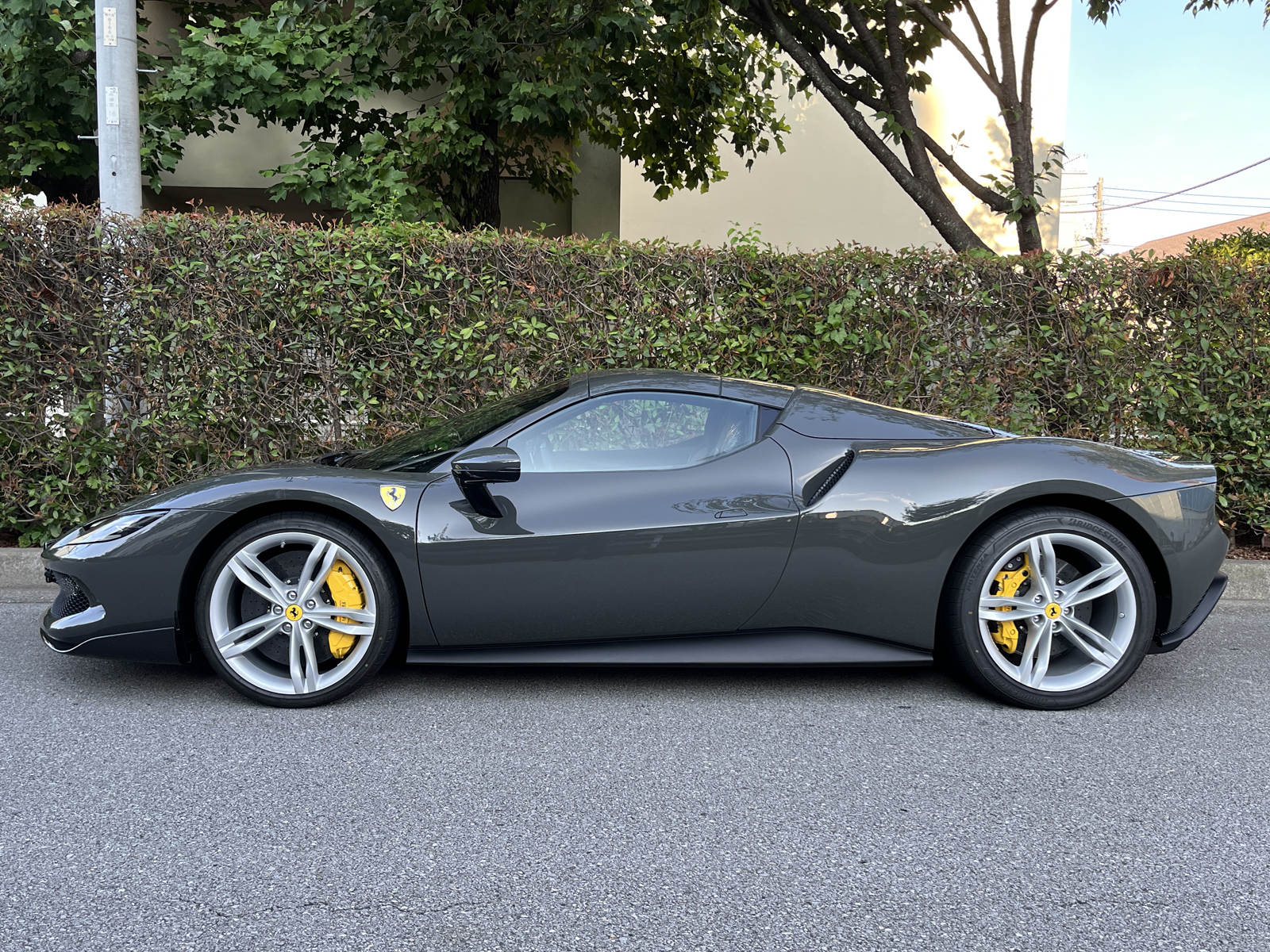 296 GTS Assetto Fioranoリッチライン