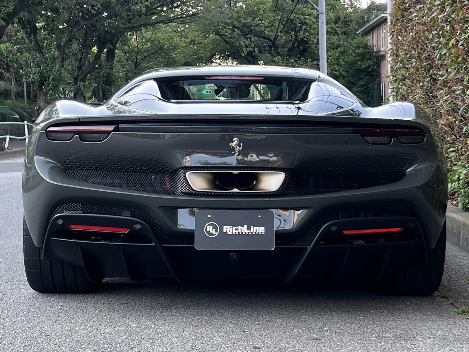 296 GTS Assetto Fioranoリッチライン