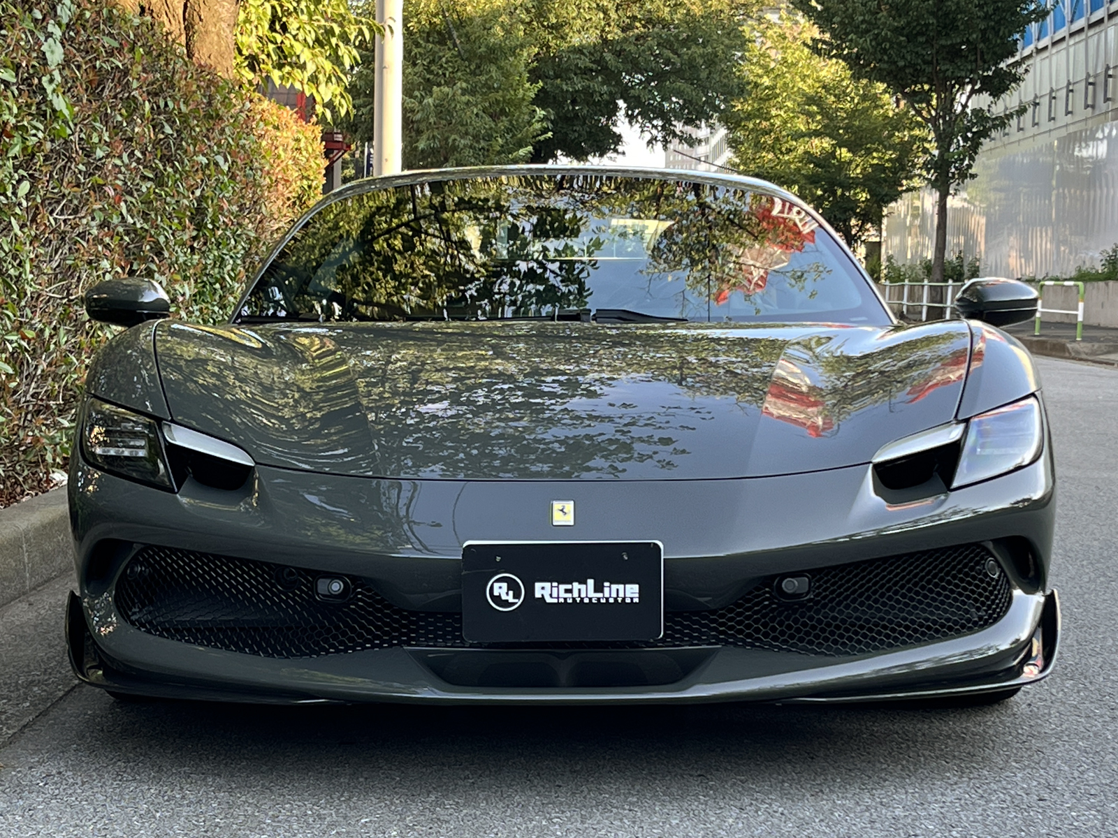 296 GTS Assetto Fioranoリッチライン