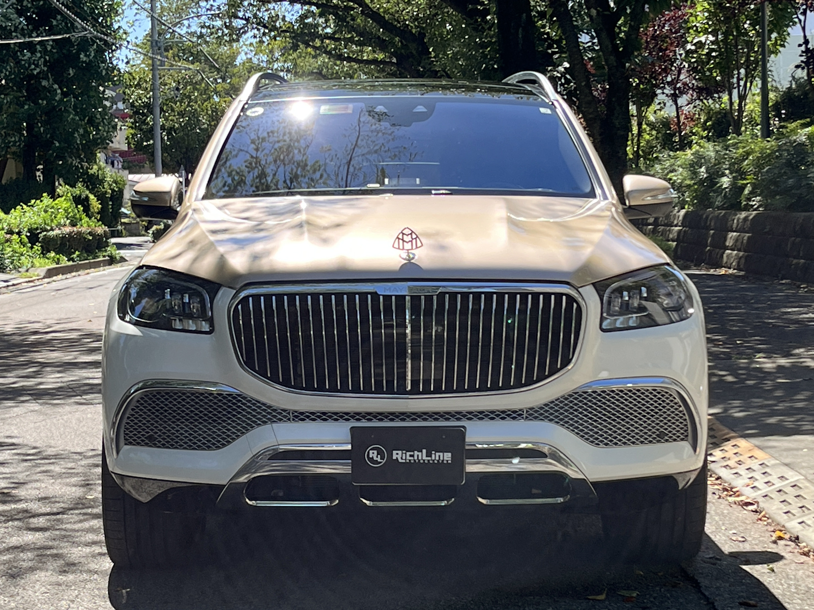 GLS-Class GLS600リッチライン