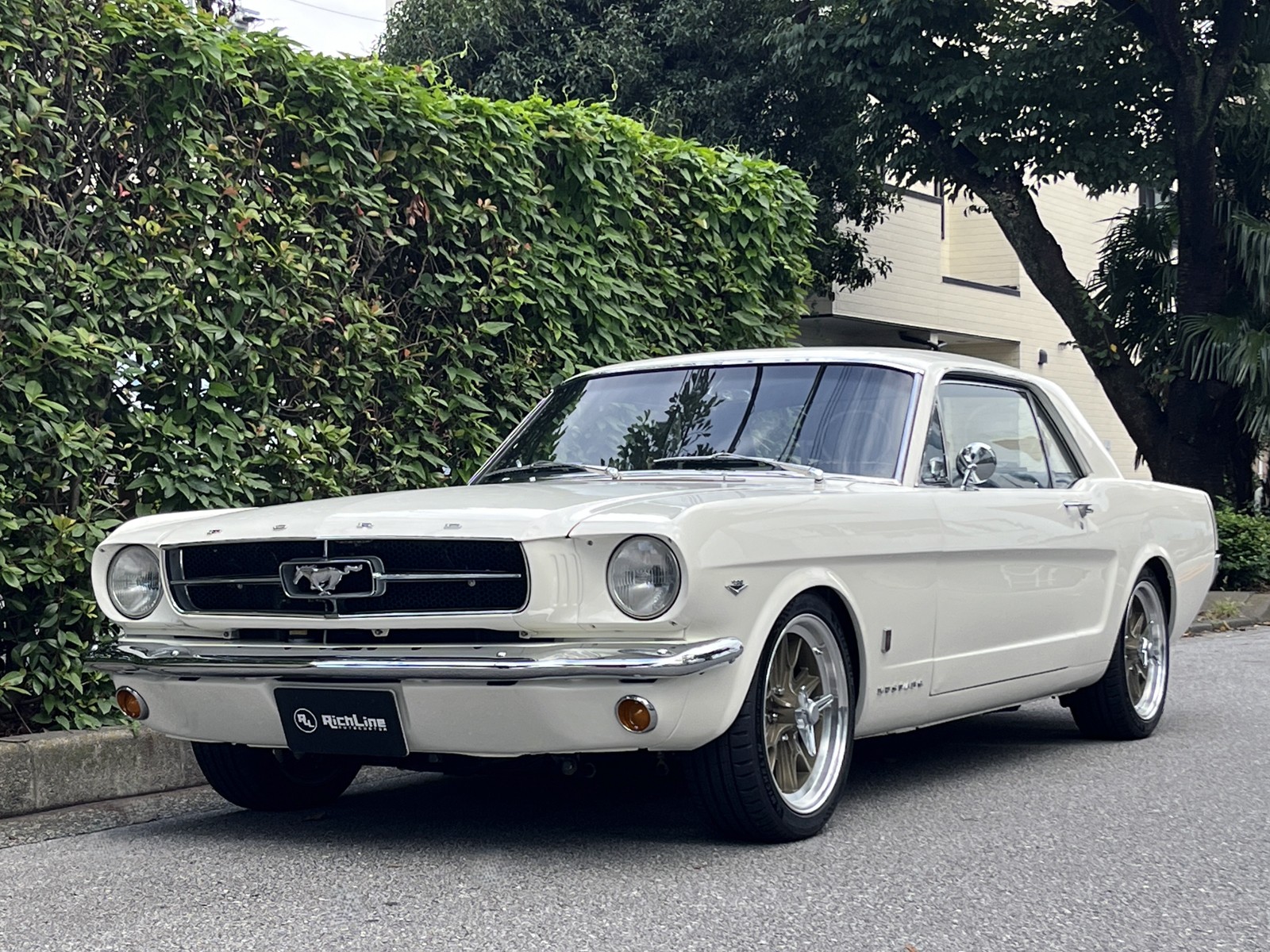 1965 Mustangリッチライン