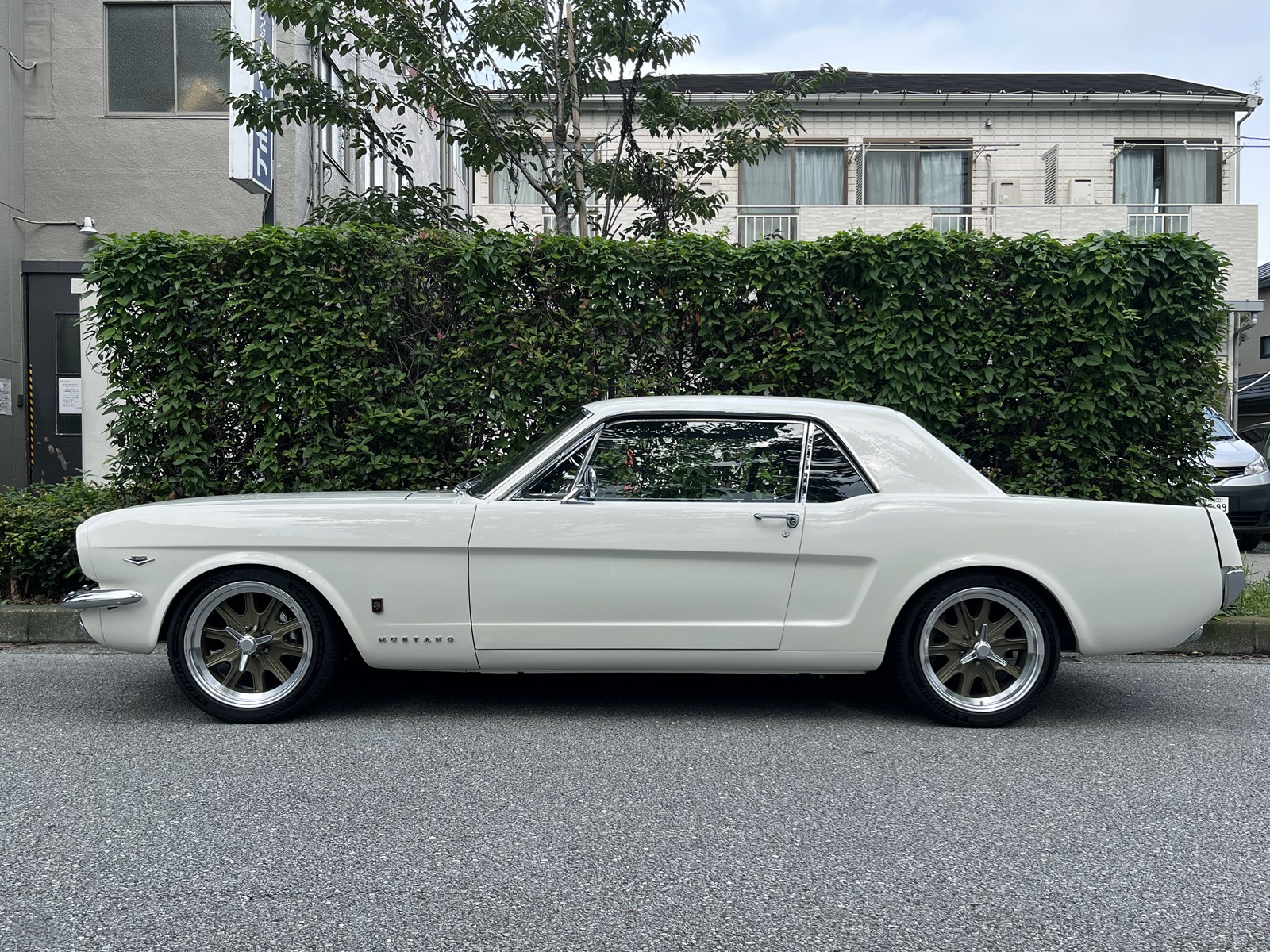 1965 Mustangリッチライン