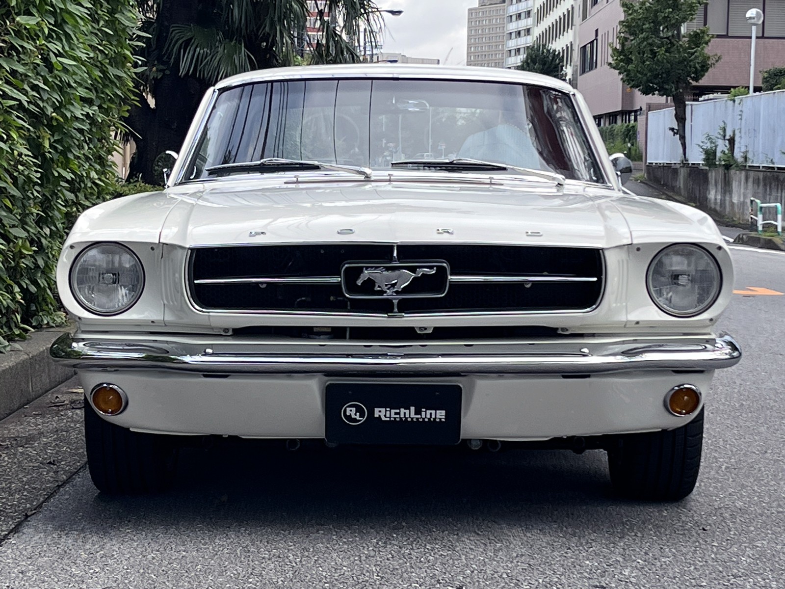 1965 Mustangリッチライン