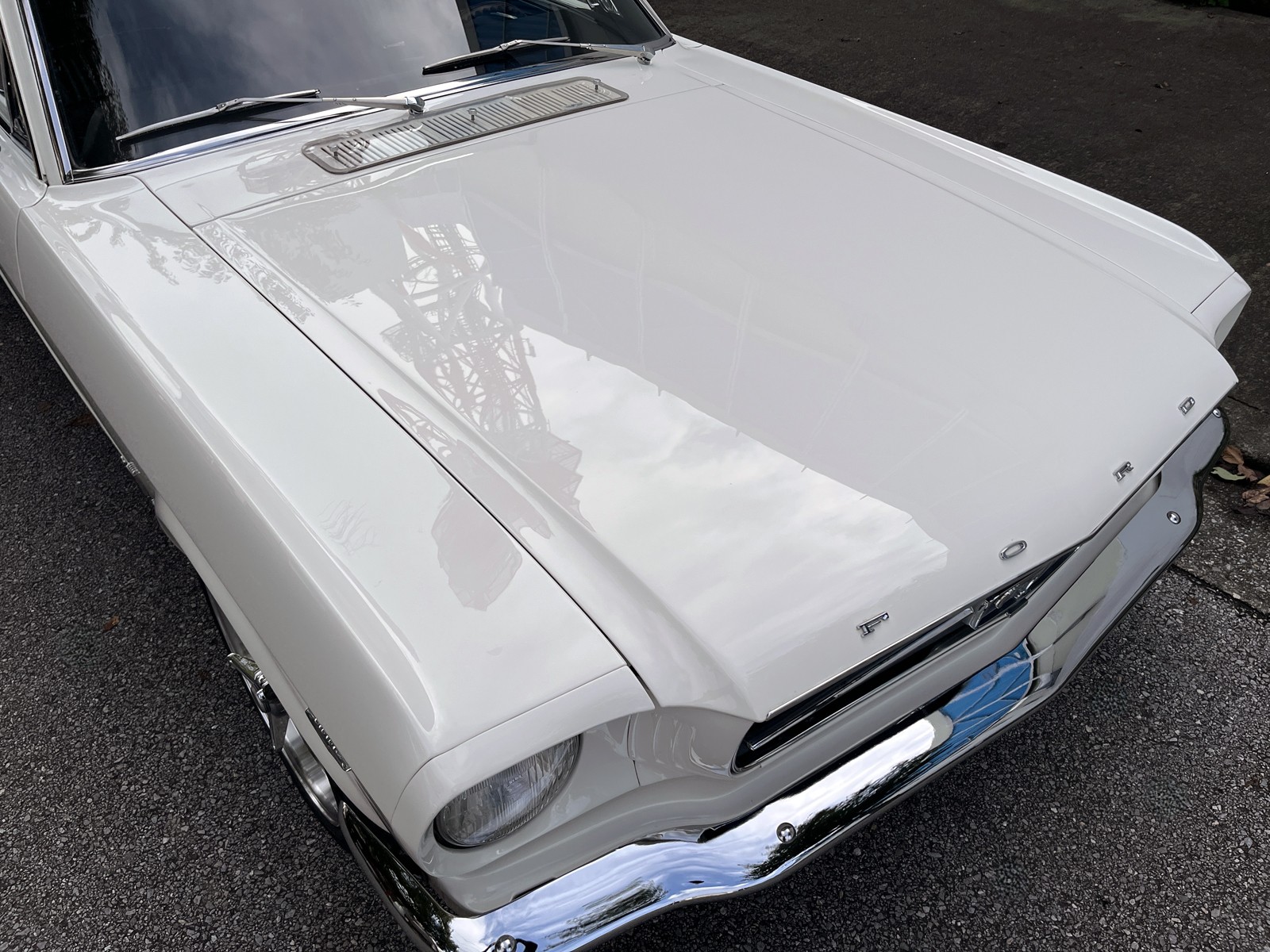 1965 Mustangリッチライン